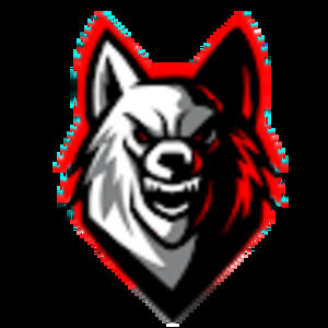 Meet your Posher, Haitham